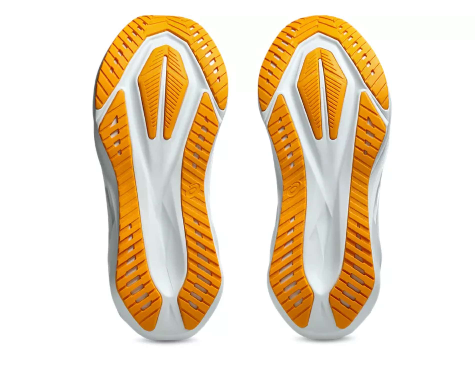Scarpe da corsa da uomo Asics Novablast 5