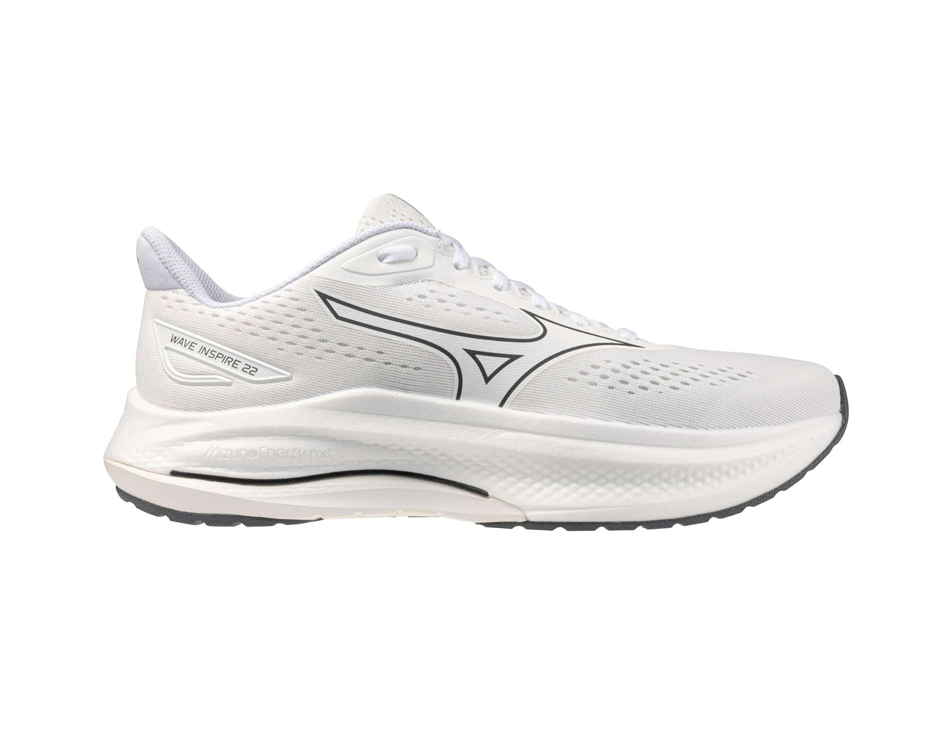 Scarpe da corsa da uomo Mizuno Wave Inspire 22