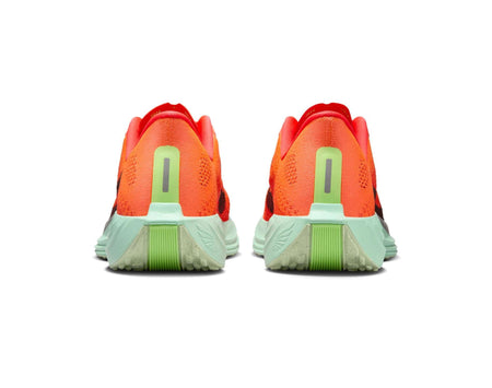 Scarpe da corsa da donna Nike Pegasus Plus
